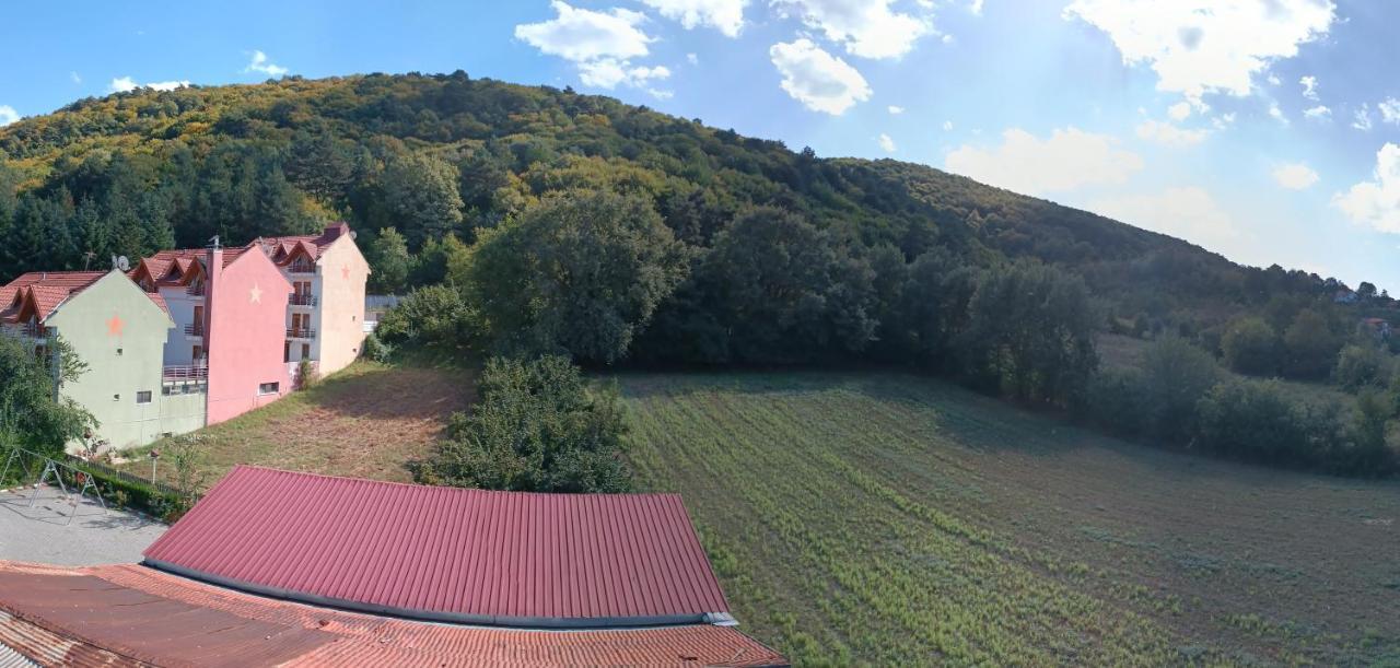 Mekan Ilica Apart Otel Karacasu  Exteriör bild